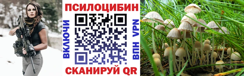 дарнет шоп  мега сайт  Псилоцибиновые грибы MAGIC MUSHROOMS  Агидель 